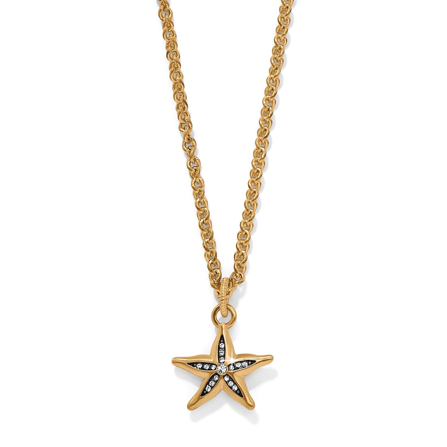 【CERRIC】 25SS/STARFISH LEATHER STRAP NECKLACE 61D1gMNNDjL._UY1000_.jpg
