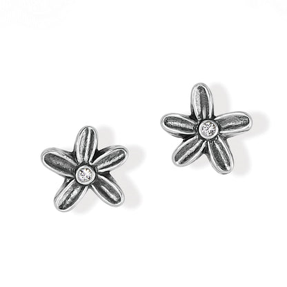 Brighton stud earrings with silver-plated flower design and crystal centers on a white background