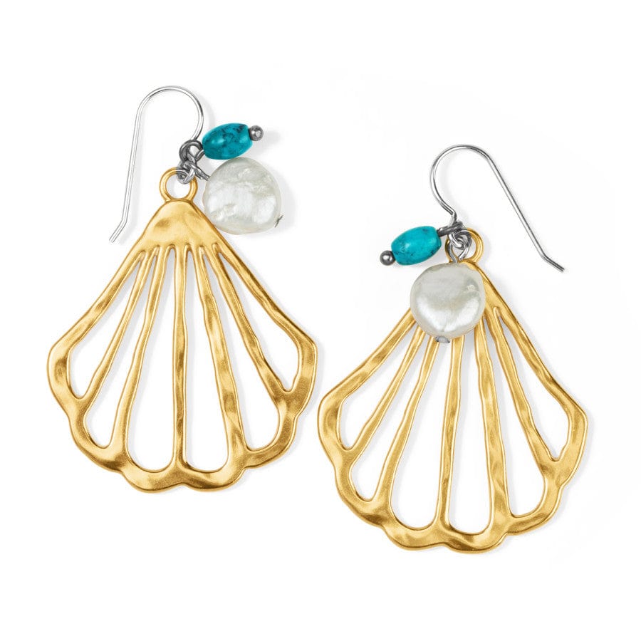 Calypso Shell Collection