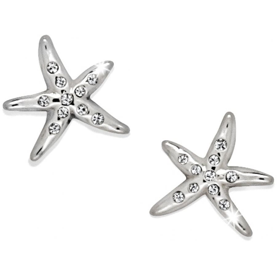 Cape Star Mini Post Earrings silver 1