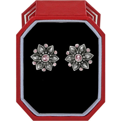Cora Mini Post Earrings Gift Box