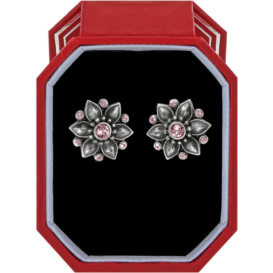 Cora Mini Post Earrings Gift Box