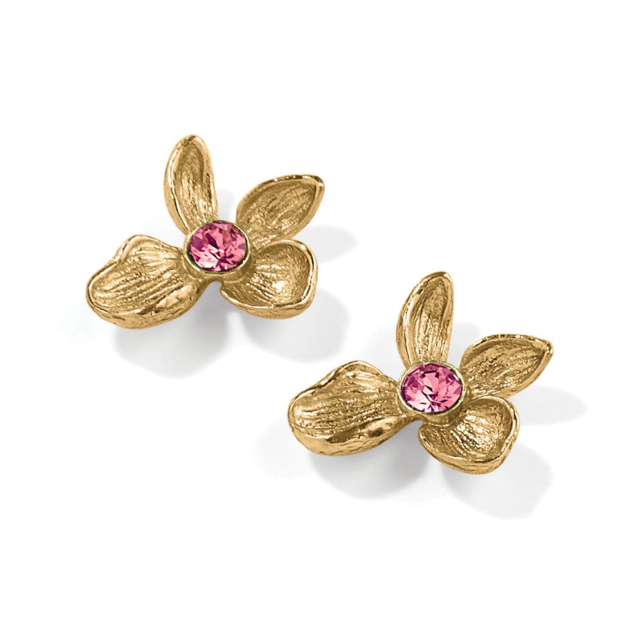 Everbloom Jardin Golden Post Earrings gold-pink 2