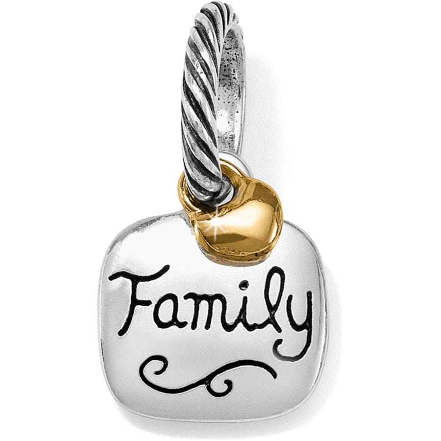 Family Love Charm silver-gold 1