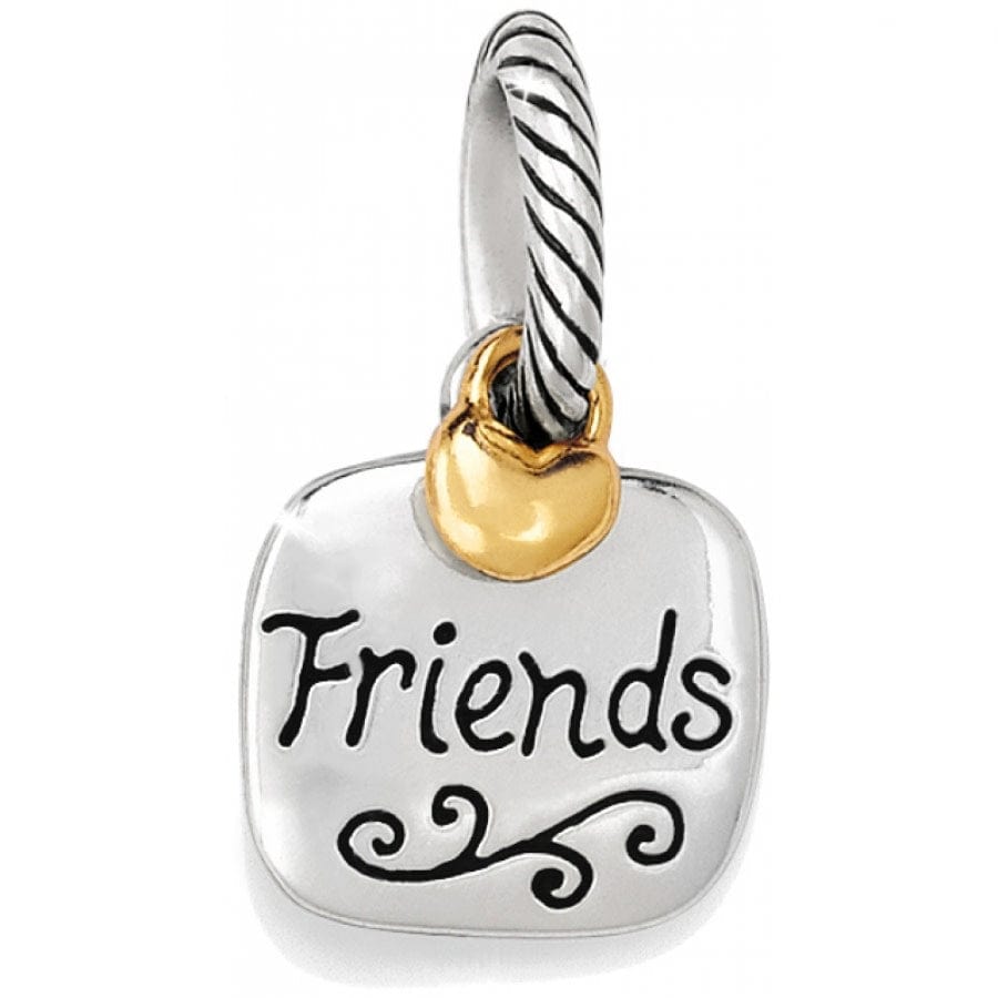 Friends Forever Charm silver-gold 1