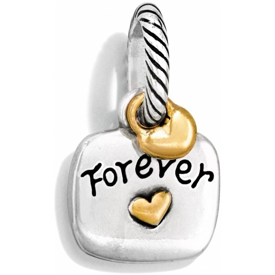Friends Forever Charm silver-gold 3