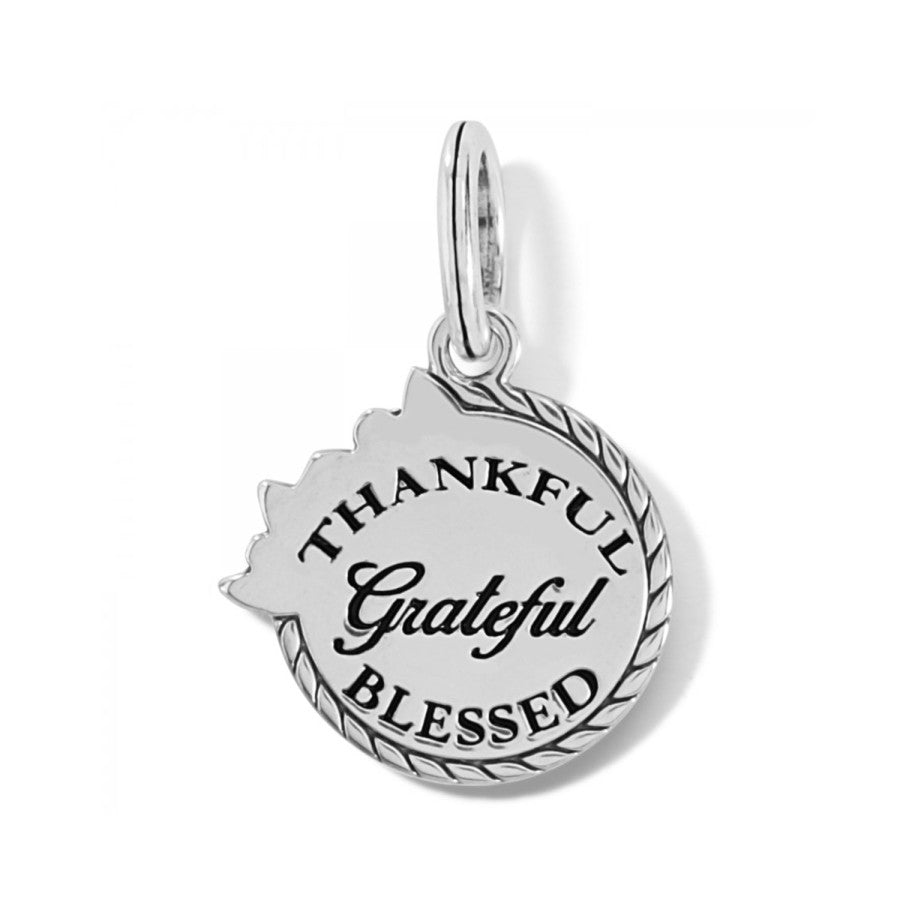 grateful dead symbol charm silver tone