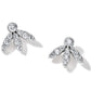Illumina Flair Post Earrings