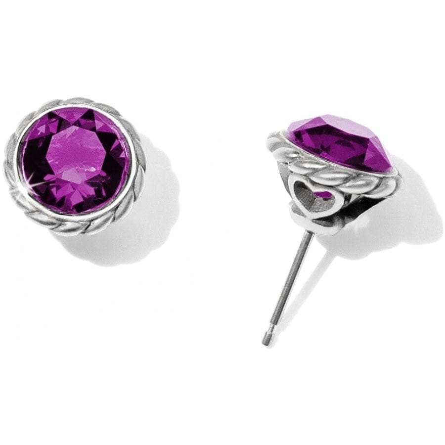 Iris Stud Earrings silver-amethyst 15
