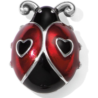 Ladybug Magnet