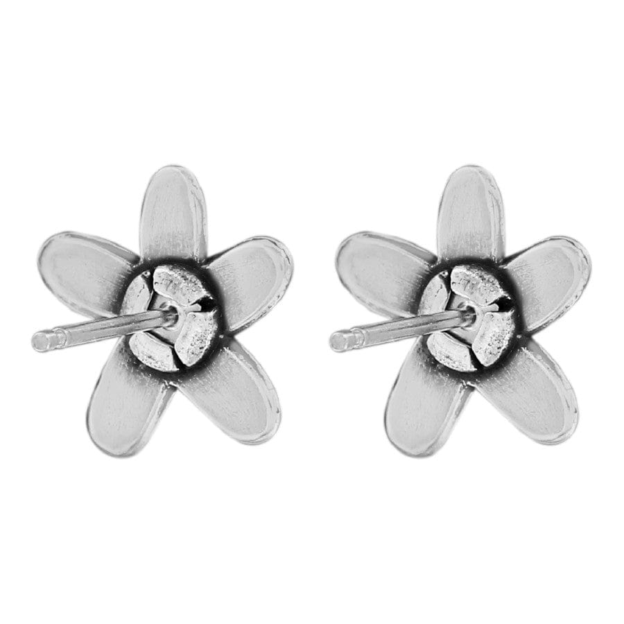 Love Bouquet Mini Post Earrings silver-white 2