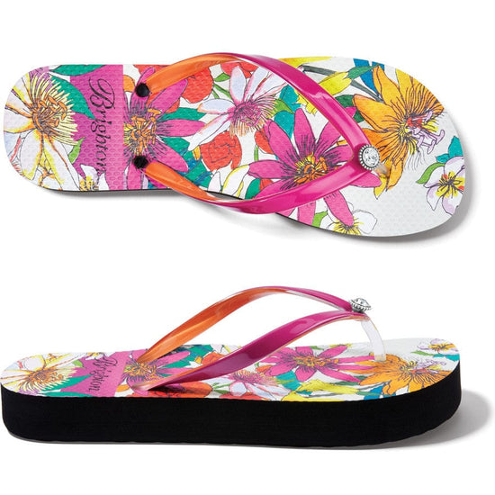 Maui Flip Flops - Brighton