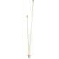 Paradise Cove Spiral Shell Necklace
