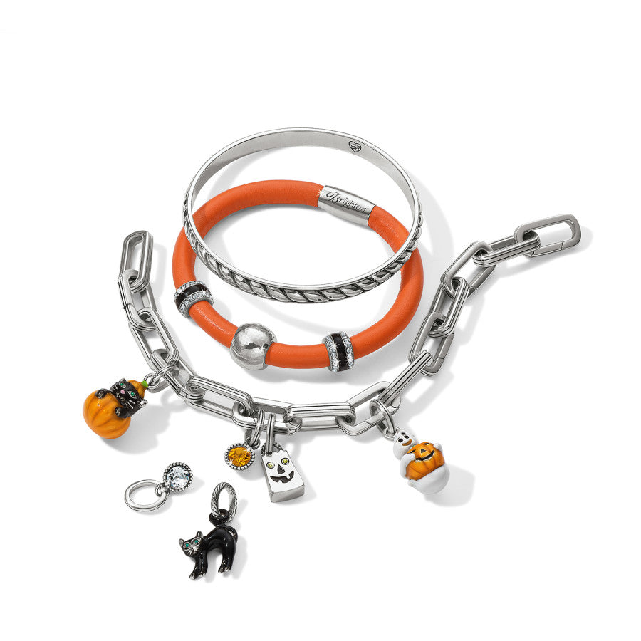 Purrfect Pumpkin Charm silver-orange 2