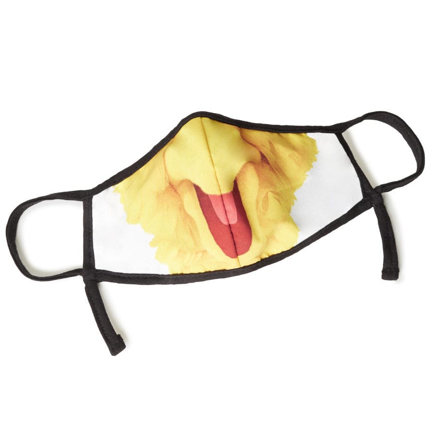 Sesame Street Big Bird Child Face Mask multi 1