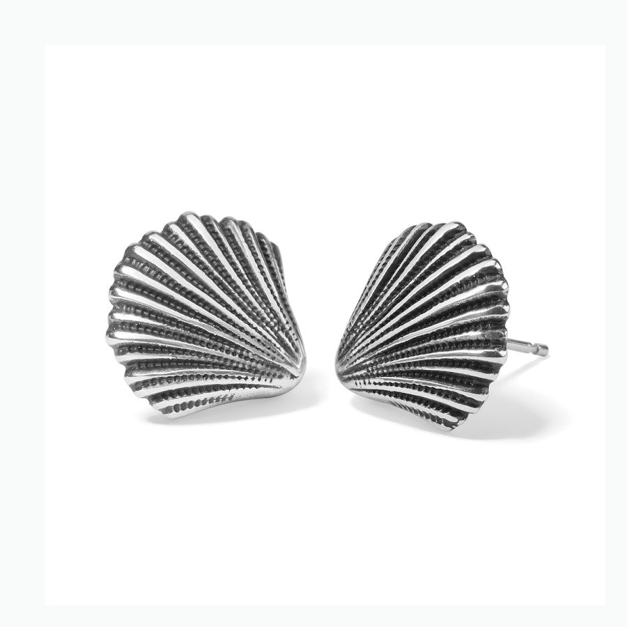 Silver Shells Post Earrings silver 1