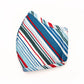 Summer Stripes and Plaid Face Mask (2 pack)