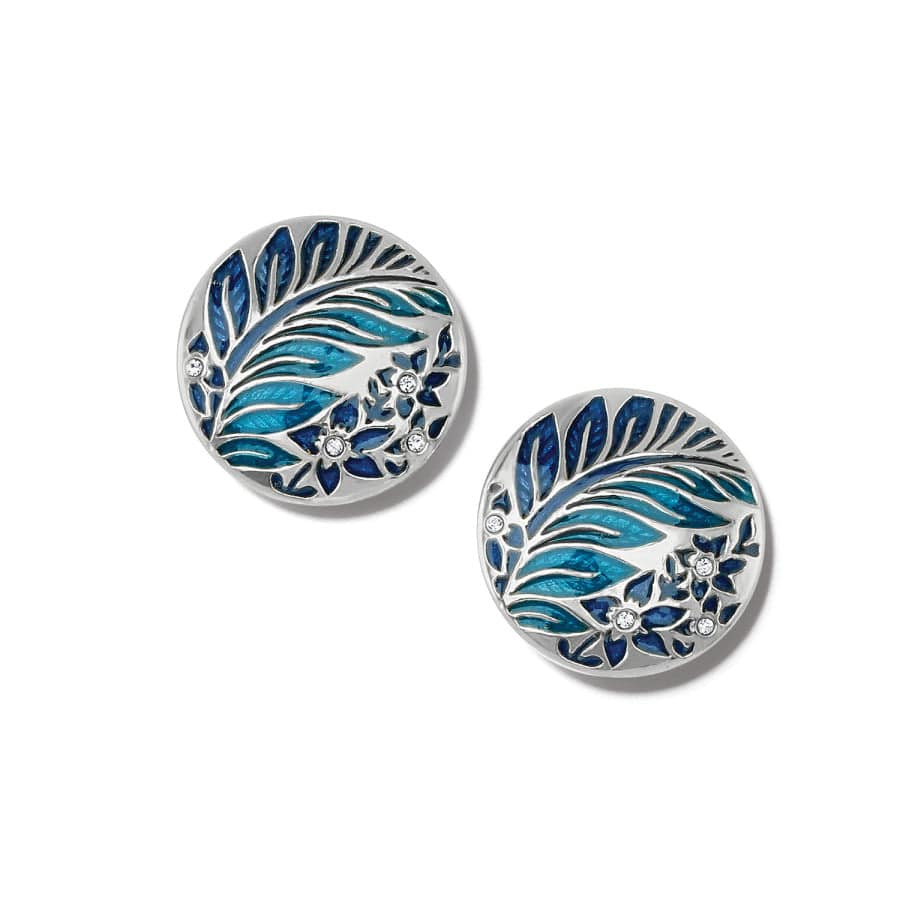 Terra Post Earrings silver-blue 1