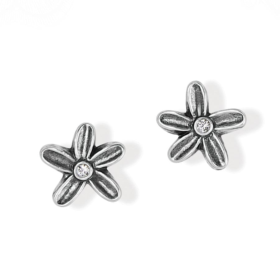 Wild Flowers Post Earrings silver 1