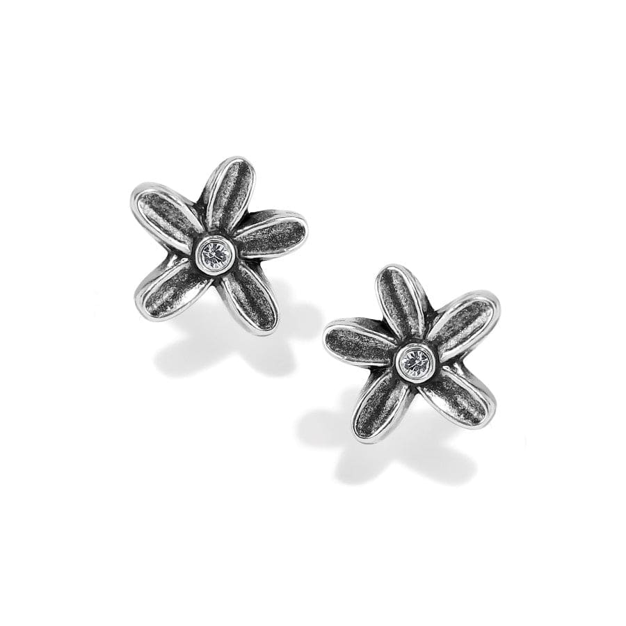 Wild Flowers Post Earrings silver 2